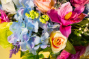 Colorful Flowers Decorations