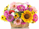 Bright Flowers in a Basket